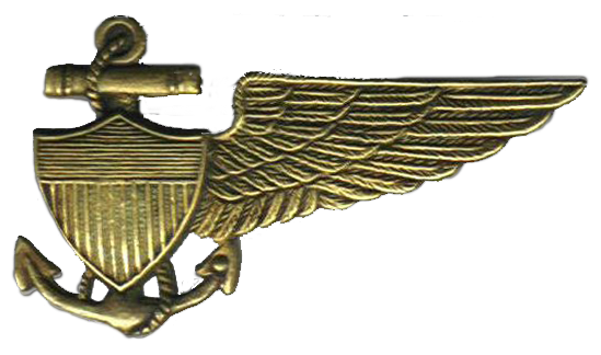 bag pilot wings